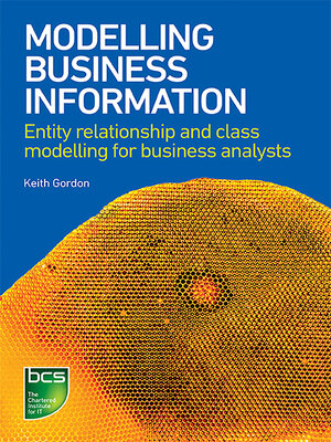 cover image of Modelling Business Information